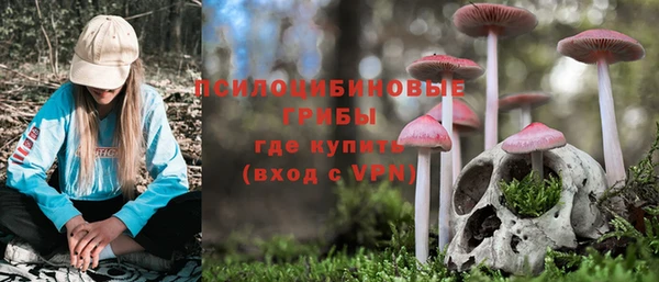 ALPHA-PVP Аркадак